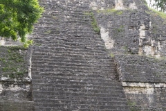 Tikal - Guatemala
