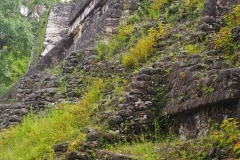 Tikal - Guatemala