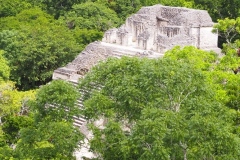 Tikal - Guatemala