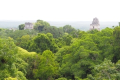 Tikal - Guatemala