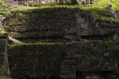 Tikal - Guatemala