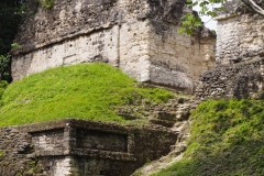 Tikal - Guatemala