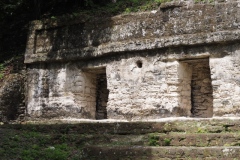 Tikal - Guatemala