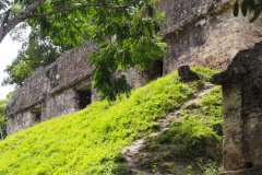 Tikal - Guatemala