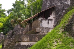 Tikal - Guatemala