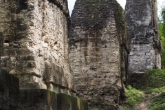 Tikal - Guatemala