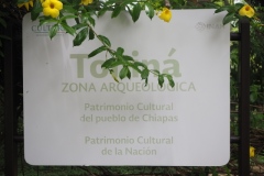 Tonina - Chiapas