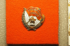 Tsaritsyn - one of the important battles of the 1918-1922 Civil War