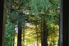 Spring No. 8, Tskaltubo