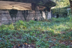 Spring No. 8, Tskaltubo