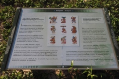 Tulum - Quintana Roo