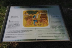 Tulum - Quintana Roo