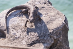 Tulum - Quintana Roo