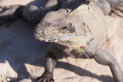 Tulum - Quintana Roo
