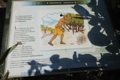 Tulum - Quintana Roo