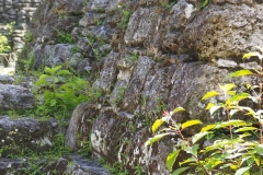 Uaxactun - Guatemala