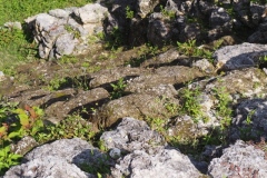 Uaxactun - Guatemala