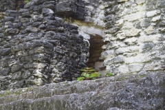 Uaxactun - Guatemala