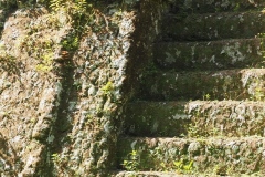 Uaxactun - Guatemala