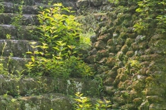Uaxactun - Guatemala