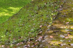 Uaxactun - Guatemala