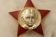 VI Lenin badge gallery