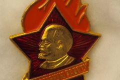 VI Lenin badge gallery