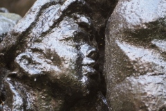 VI Lenin being carried shoulder high by workers