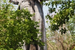 VI Lenin in Semiplatinsk