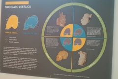 Villahermosa Anthropology Museum - Maya