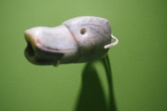 Villahermosa Anthropology Museum - Olmec et al
