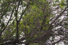 Volga-Don Canal and VI Lenin