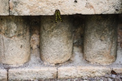 Xcalumkin - Campeche