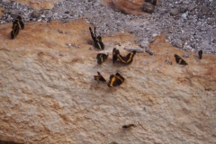 Xcalumkin - Campeche