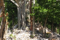 Xel Ha - Quintana Roo