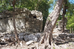 Xel Ha - Quintana Roo