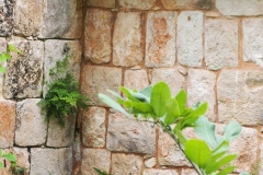 Xlapak - Yucatan