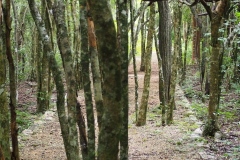 Xlapak - Yucatan
