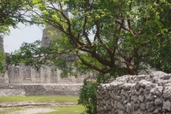 Xpujil - Campeche