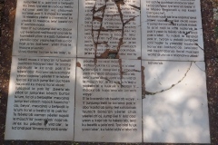 Xpujil - Campeche