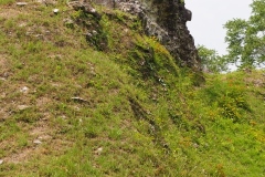 Xunantunich - Belize