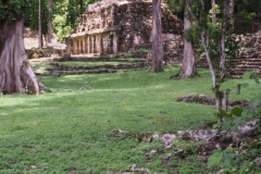 Yaxchilán - Chiapas