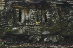Yaxchilán - Chiapas
