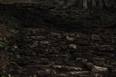 Yaxchilán - Chiapas