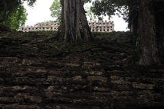 Yaxchilán - Chiapas