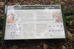 Yaxchilán - Chiapas