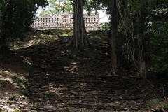 Yaxchilán - Chiapas
