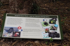 Yaxchilán - Chiapas