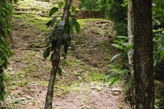 Yaxchilán - Chiapas