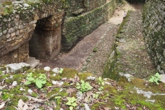 Yaxchilán - Chiapas
